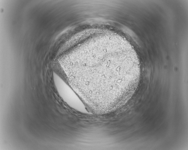 X0000085311063200704092317