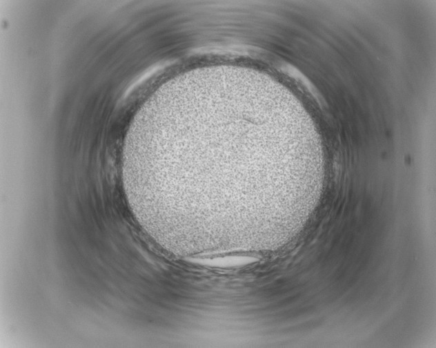 X0000085311064200704092317