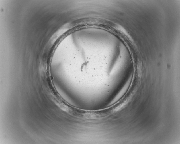 X0000085311065200704092317