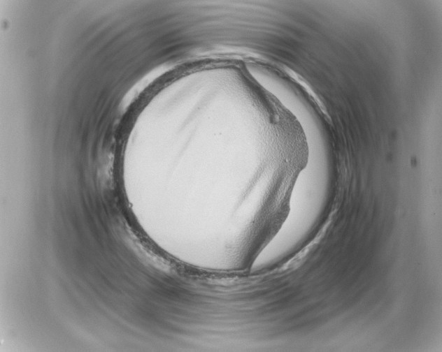 X0000085311066200704092317