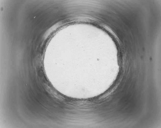 X0000085311067200704092317