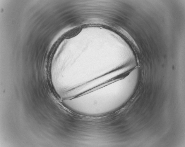 X0000085311068200704092317