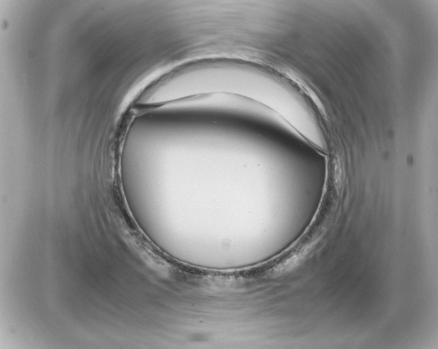 X0000085311069200704092317