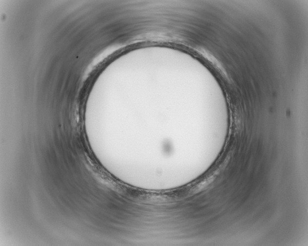 X0000085311070200704092317