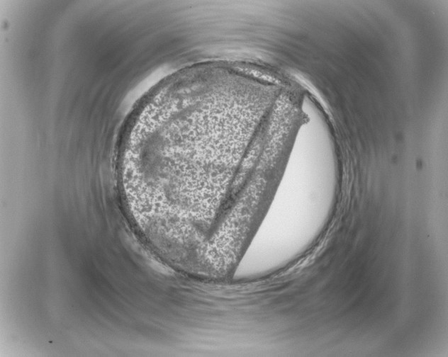 X0000085311071200704092317