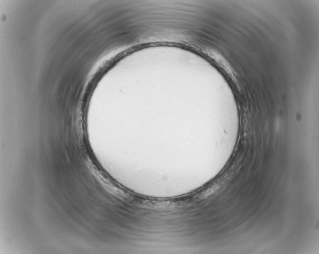 X0000085311072200704092317