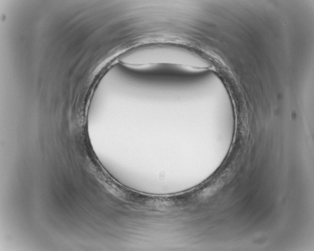 X0000085311073200704092317