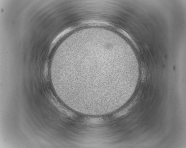 X0000085311074200704092317