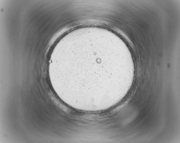 X0000085311075200704092317