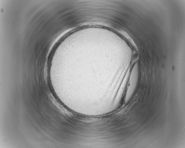 X0000085311076200704092317