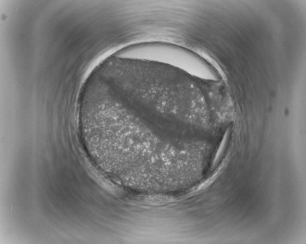 X0000085311077200704092317