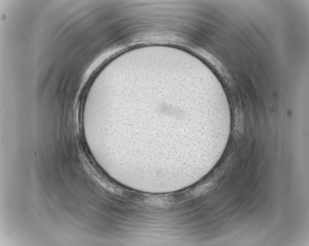 X0000085311078200704092317