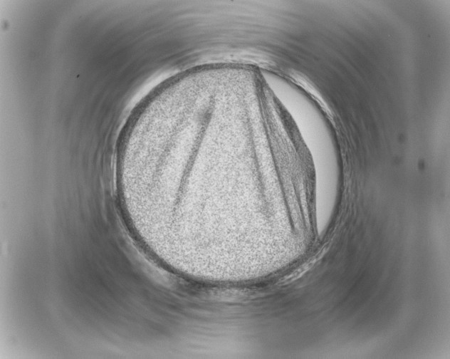 X0000085311079200704092317