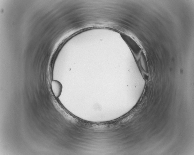 X0000085311080200704092317