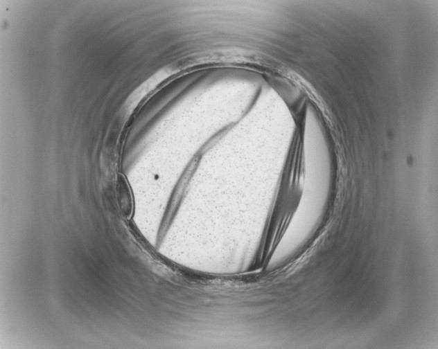 X0000085311081200704092317