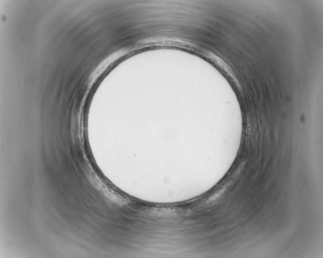 X0000085311082200704092317