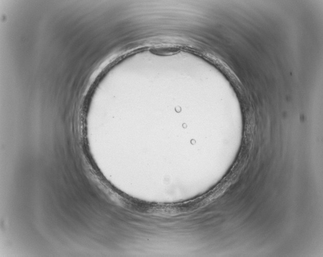 X0000085311083200704092317