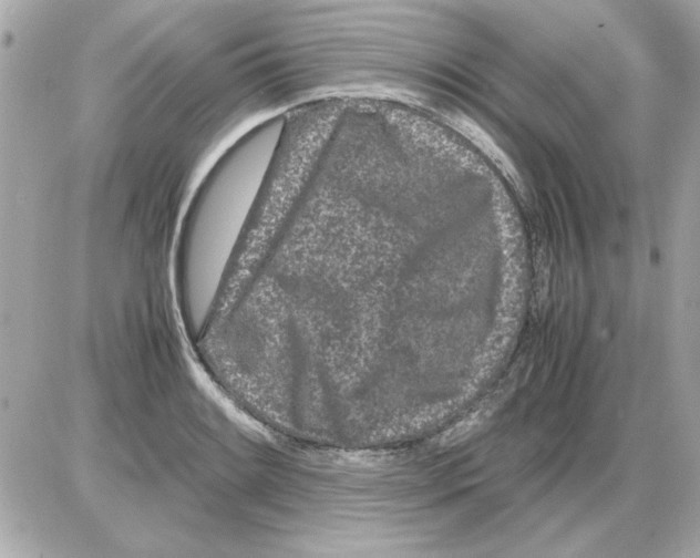 X0000085311084200704092317