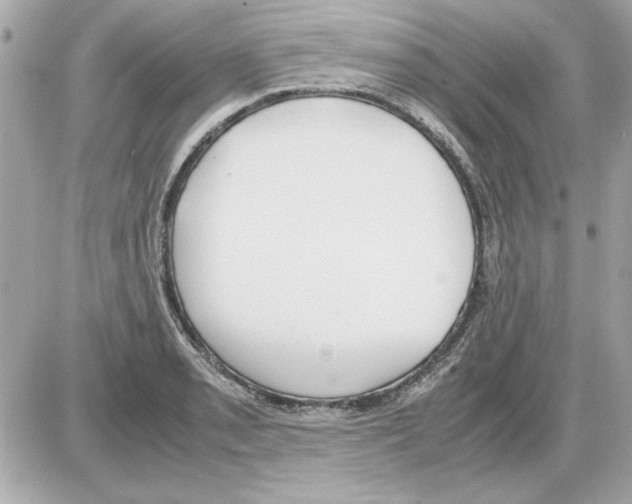 X0000085311085200704092317