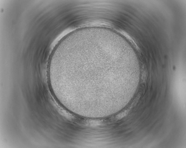 X0000085311086200704092317