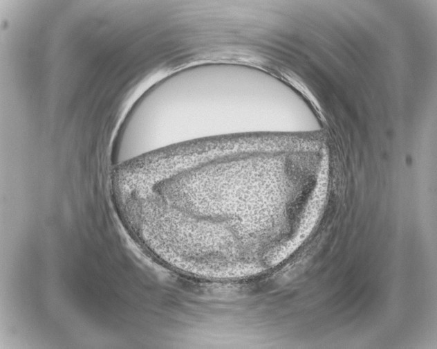 X0000085311087200704092317