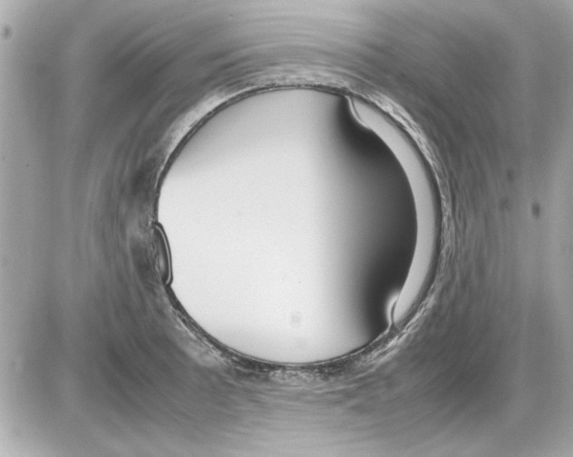 X0000085311089200704092317