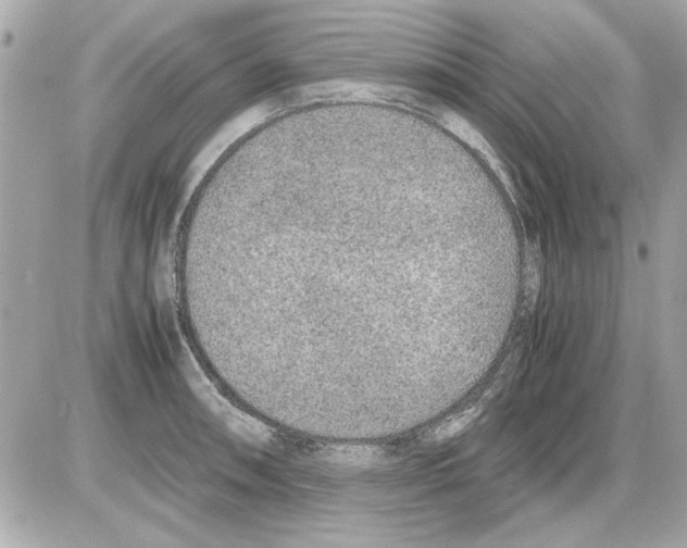 X0000085311090200704092317