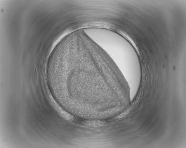 X0000085311091200704092317