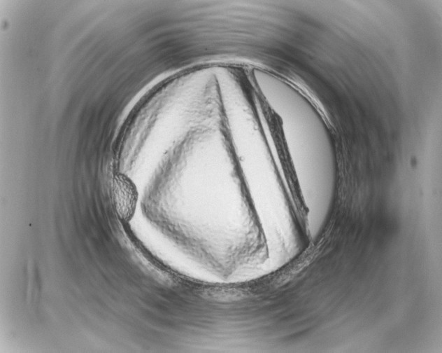 X0000085311092200704092317