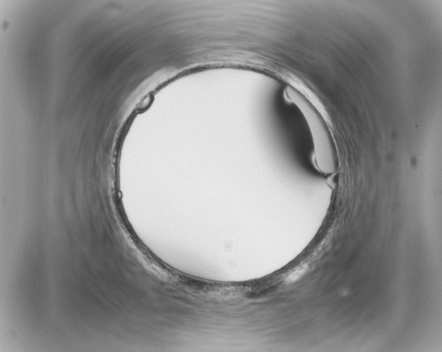 X0000085311093200704092317