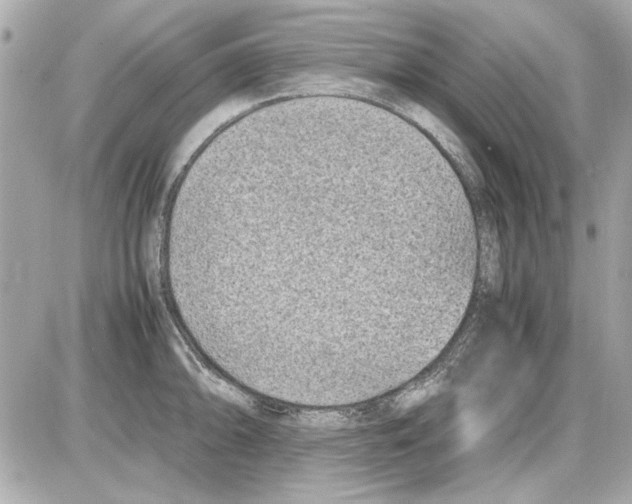 X0000085311094200704092317