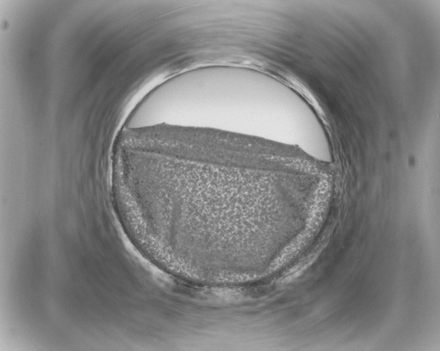 X0000085311095200704092317