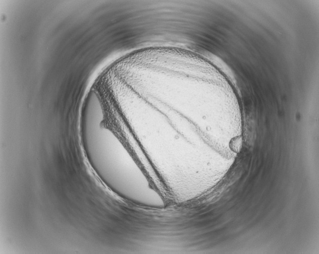 X0000085311096200704092317