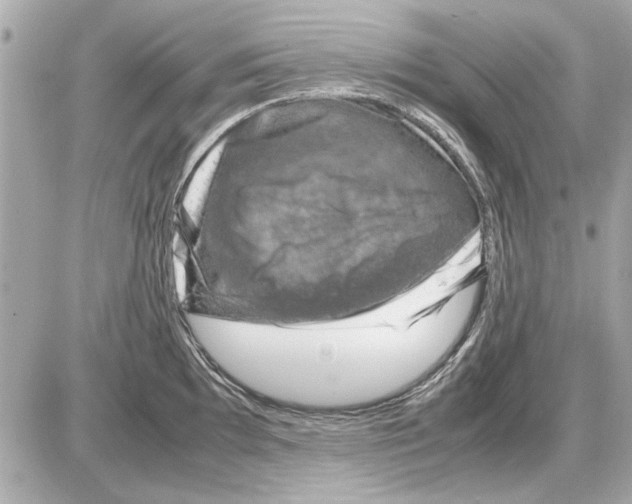 X0000085311097200704092317