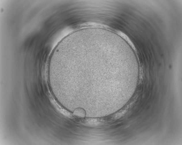 X0000085311098200704092317