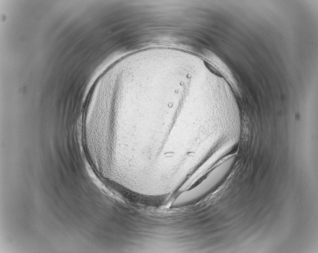 X0000085311100200704092317