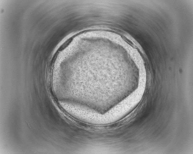 X0000085311101200704092317