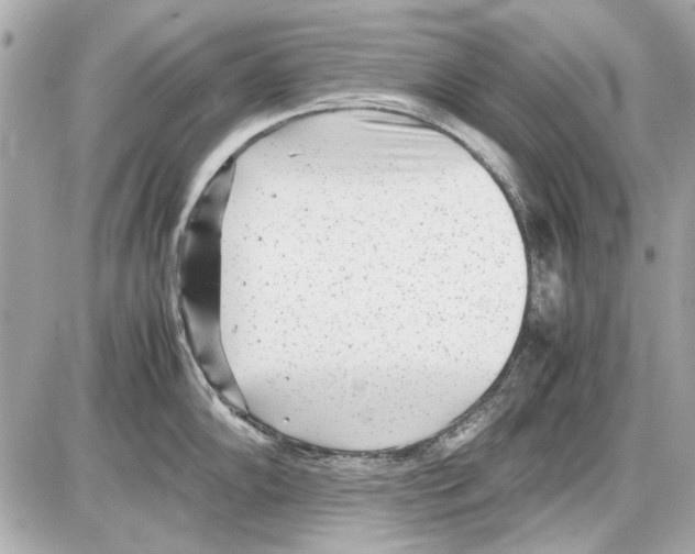 X0000085311102200704092317