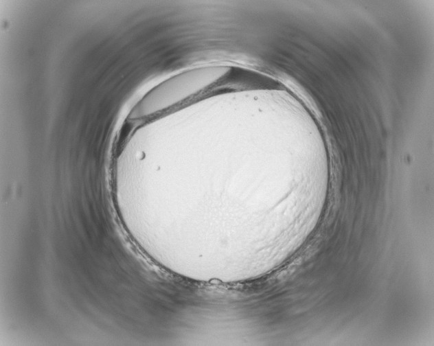 X0000085311104200704092317