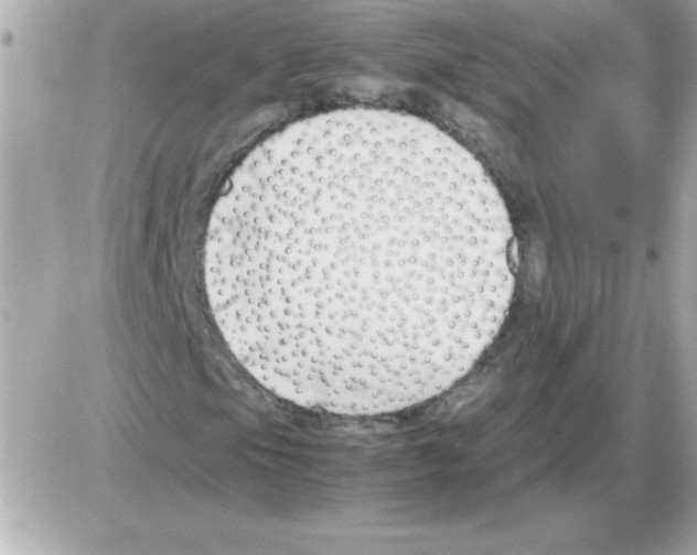 X0000085311105200704092316