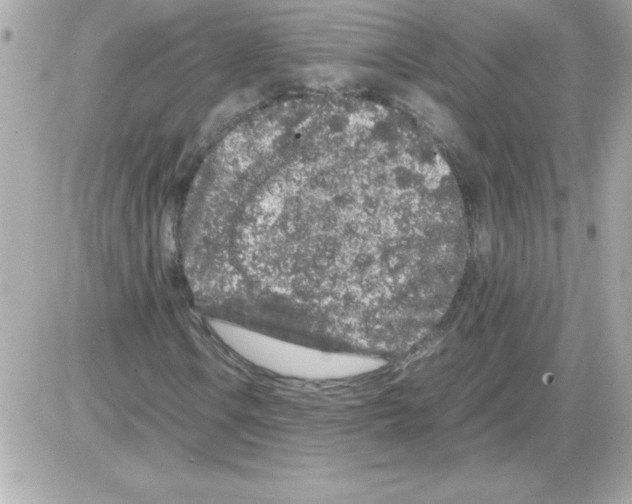 X0000085311106200704092316