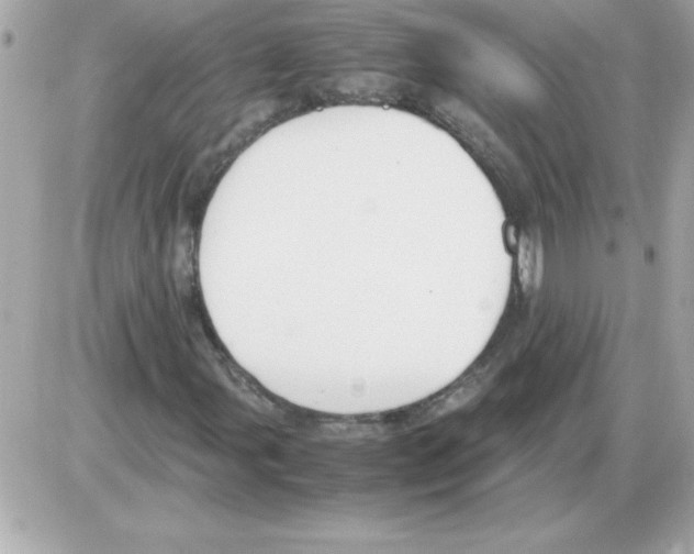 X0000085311107200704092316