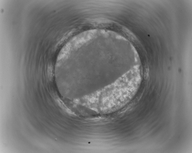 X0000085311108200704092316