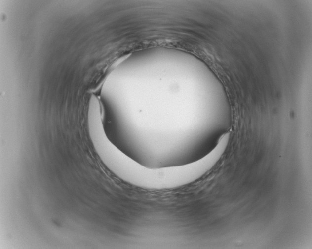 X0000085311109200704092316