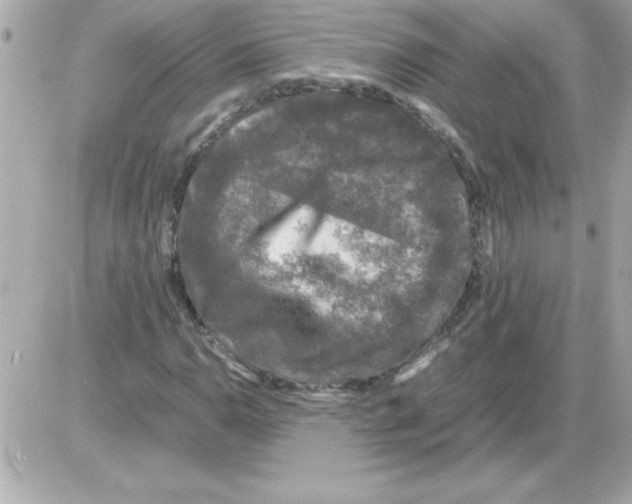 X0000085311110200704092316