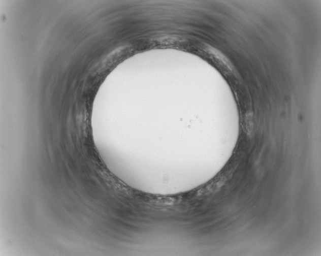 X0000085311111200704092316