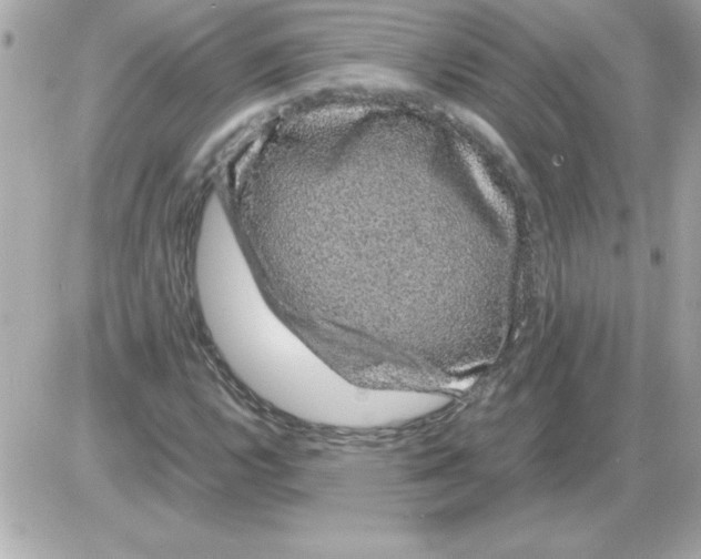 X0000085311112200704092316