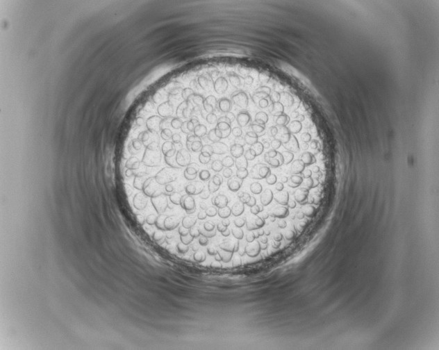 X0000085311113200704092316