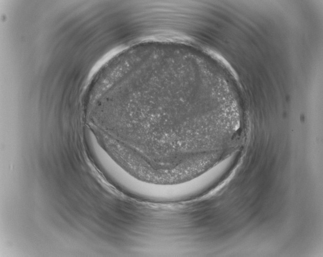 X0000085311114200704092316