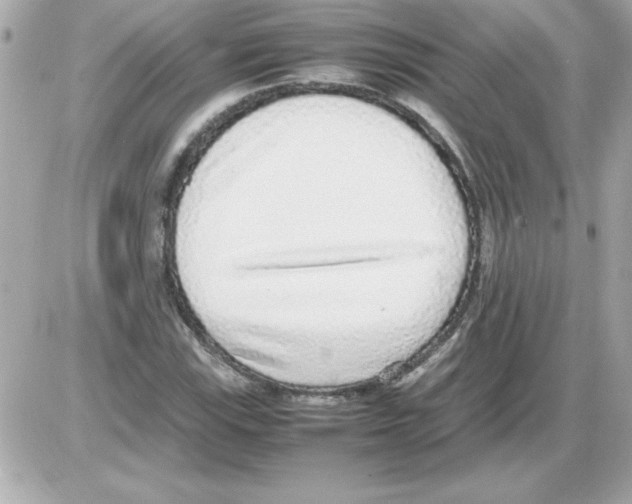 X0000085311115200704092316